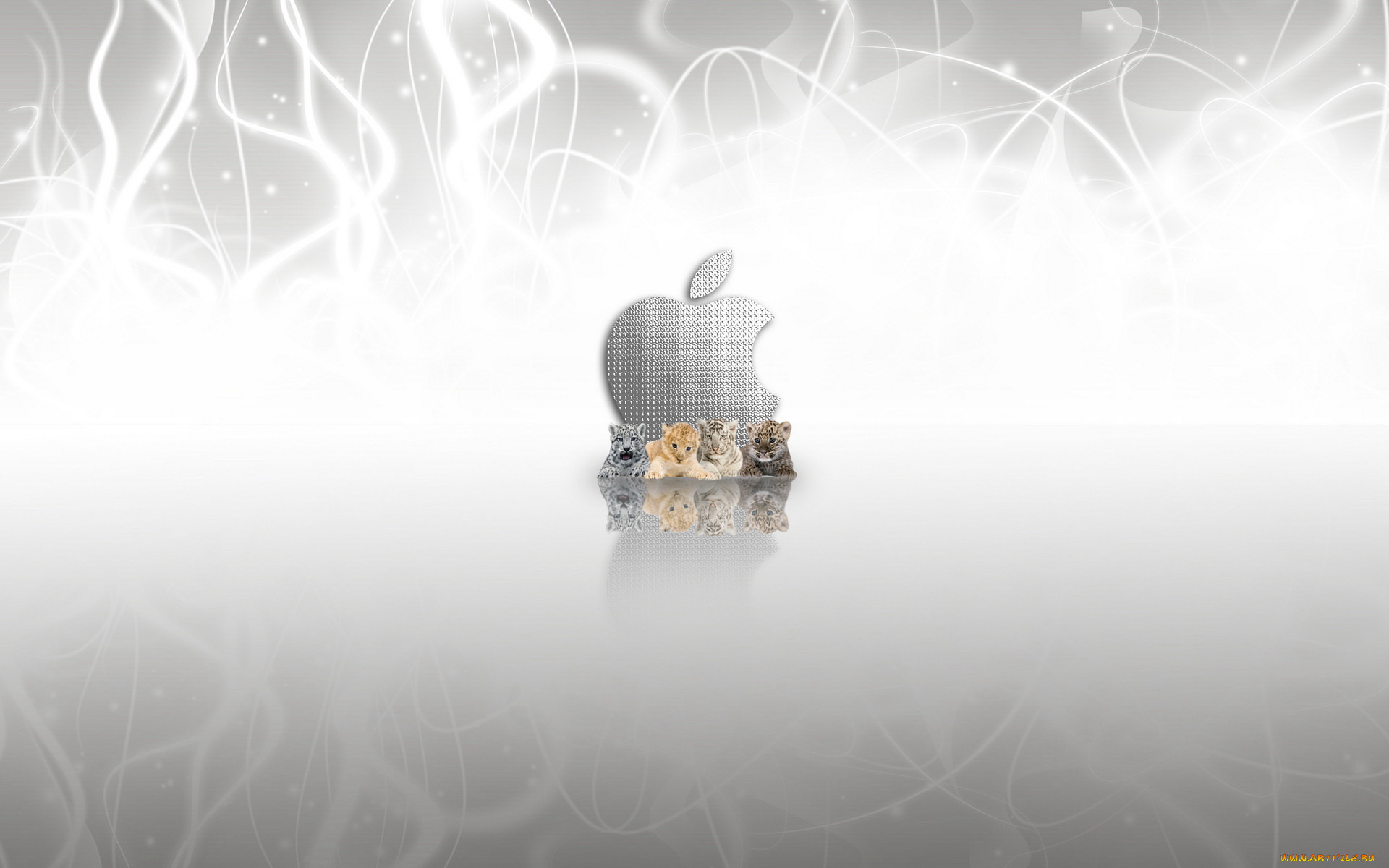 , apple